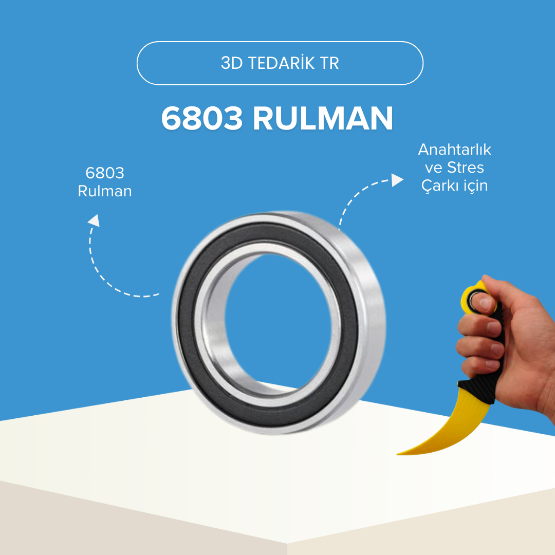 6803 Rulman 10 lu Paket